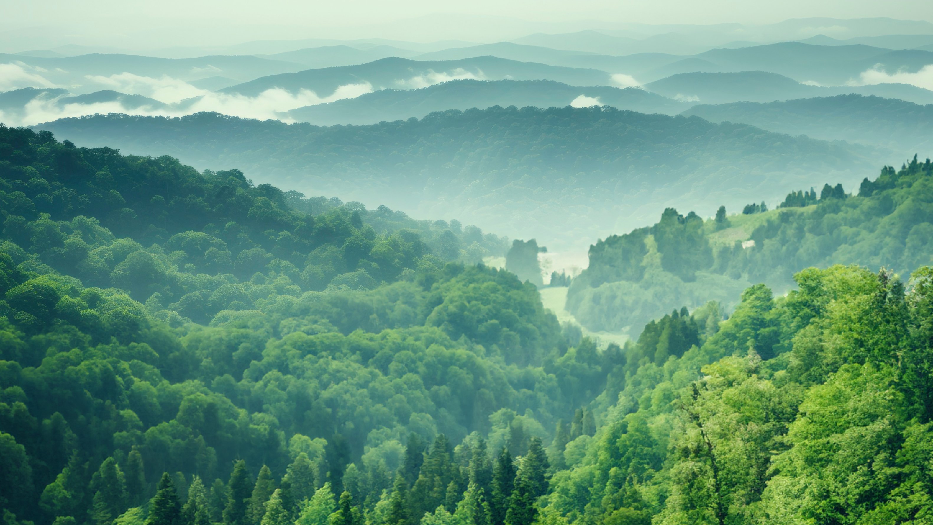 [Translate to Englisch:] Wide view with a wooded hill in the foreground and some fog behind it