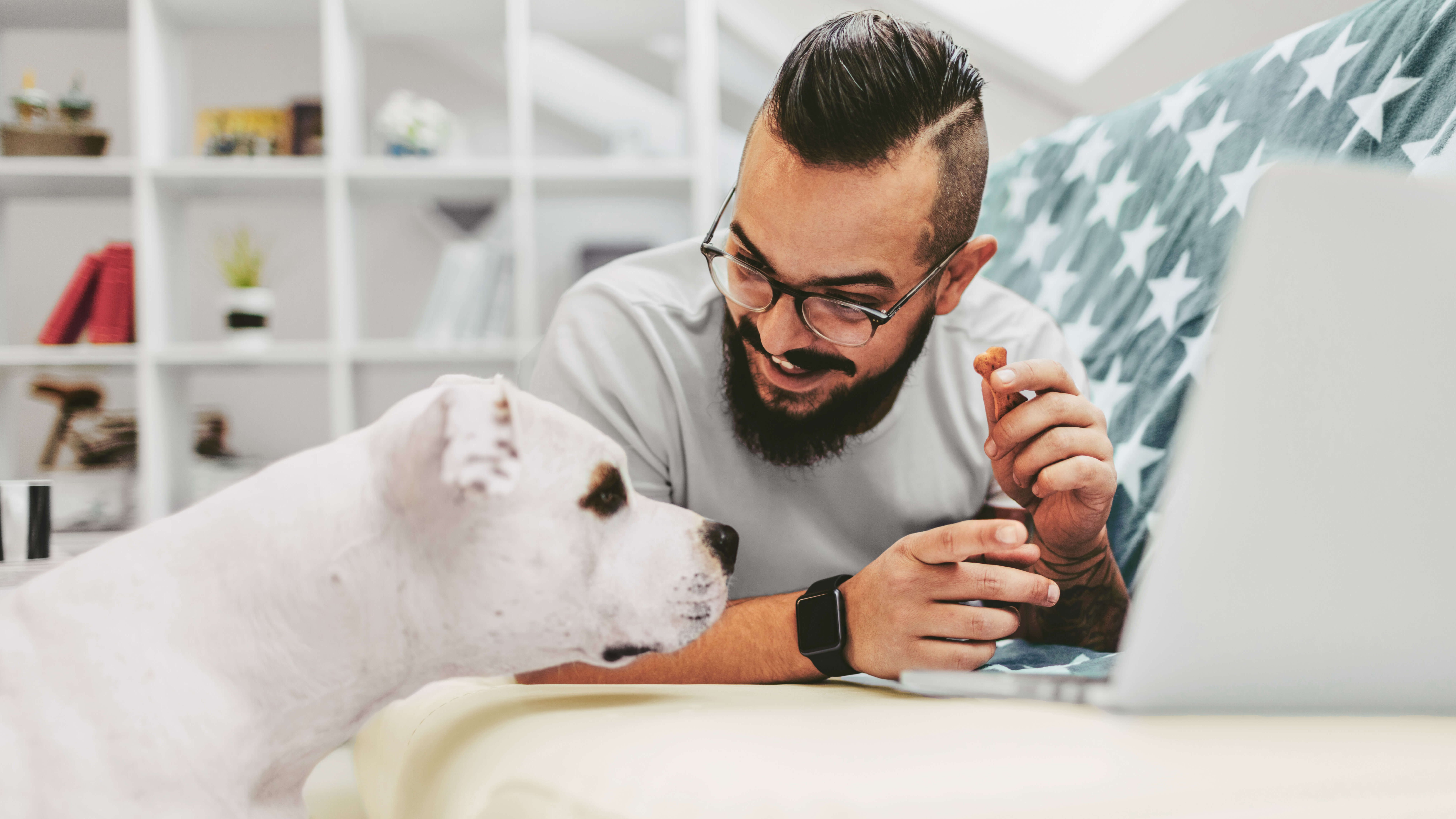 Un homme surfe sur Internet et son chien le regarde.
