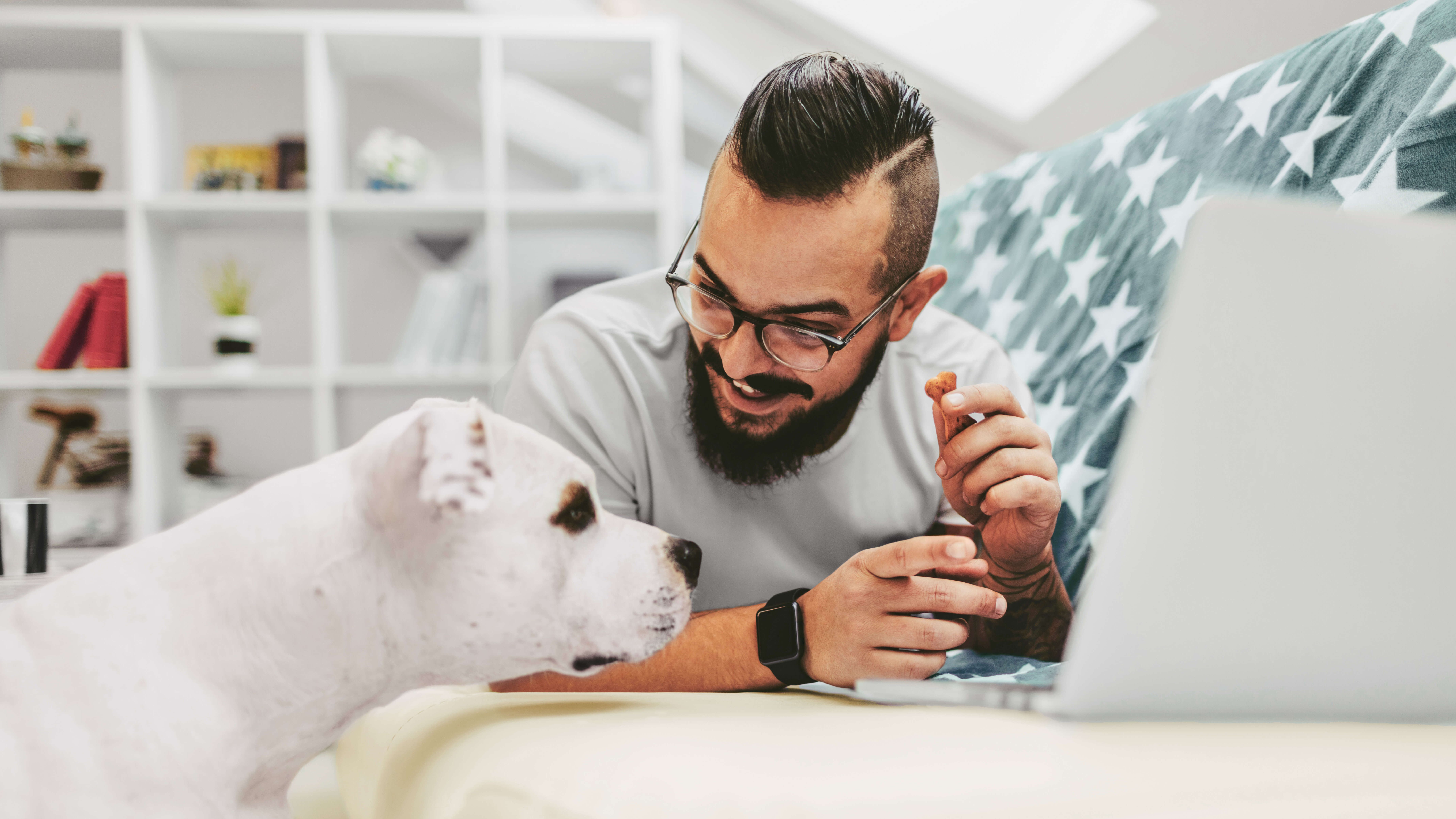 Image d’ambiance: un homme avec un chien surfe sur Internet