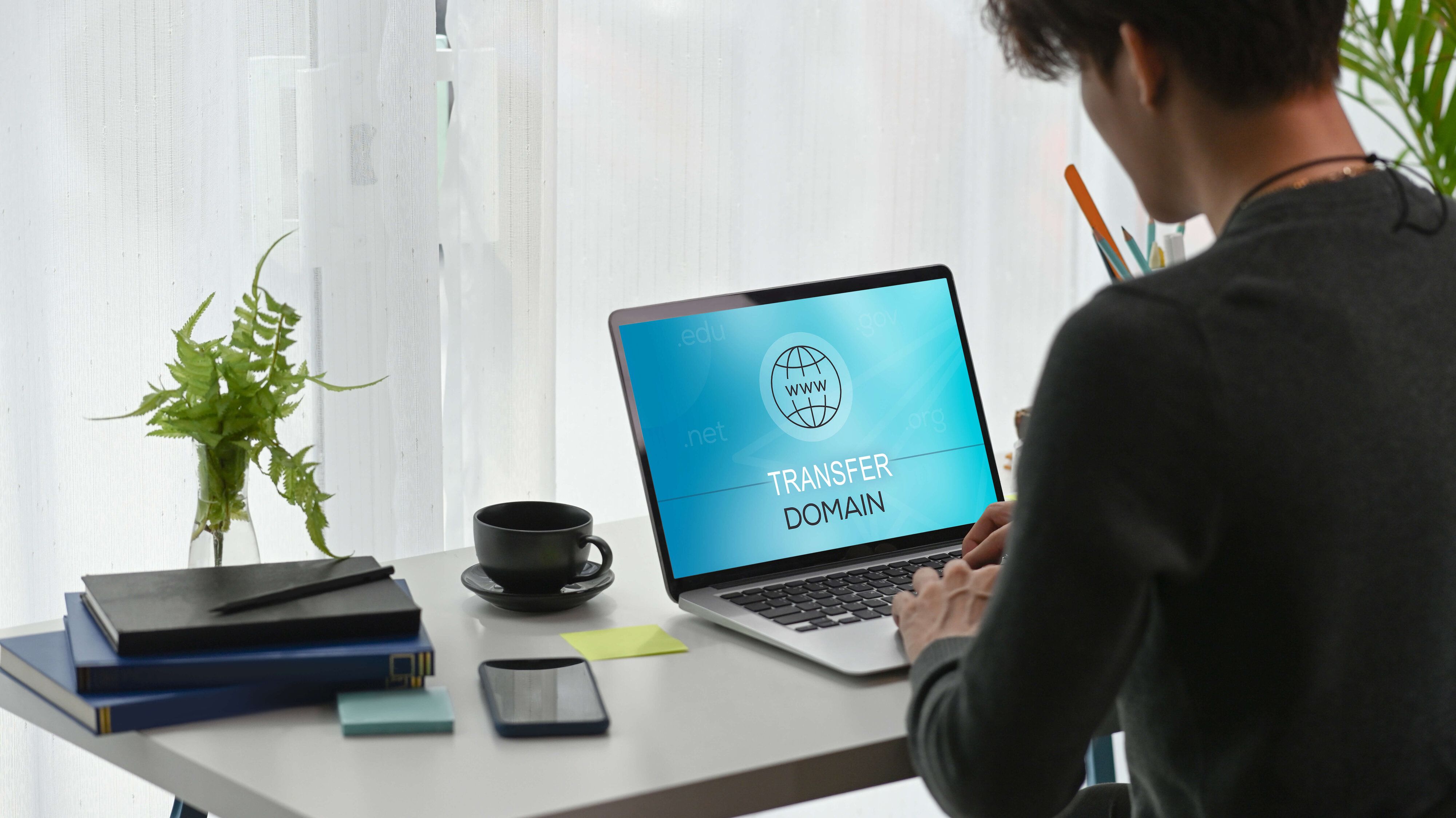 Registering a domain on the laptop