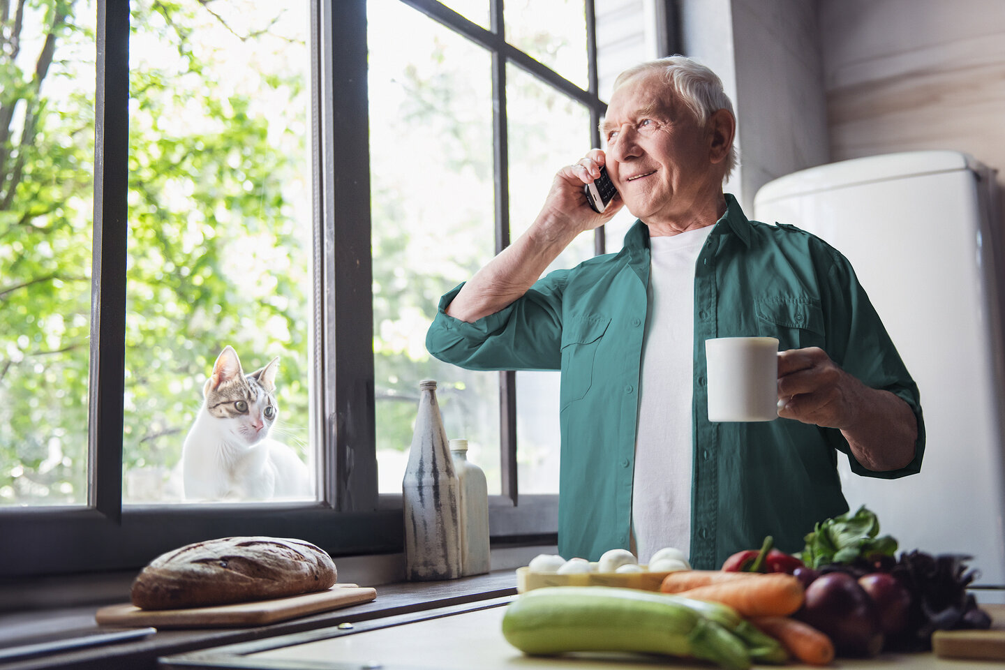 Herr telefoniert mit seinem Festnetztelefon von Green