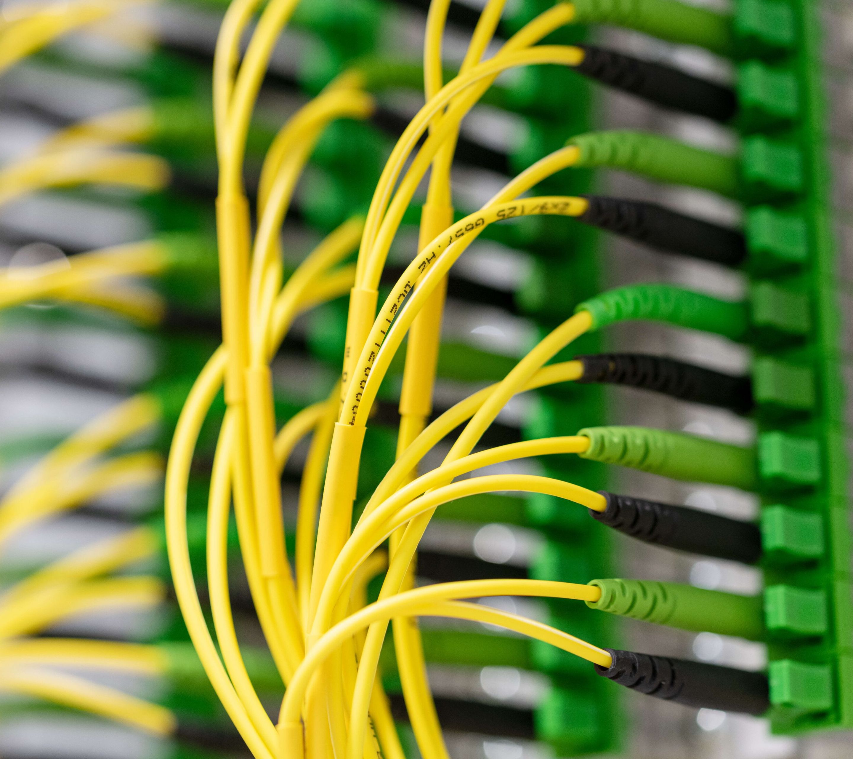 Gelbe, dünne Glasfaserkabel, dicht nebeneinander eingesteckt