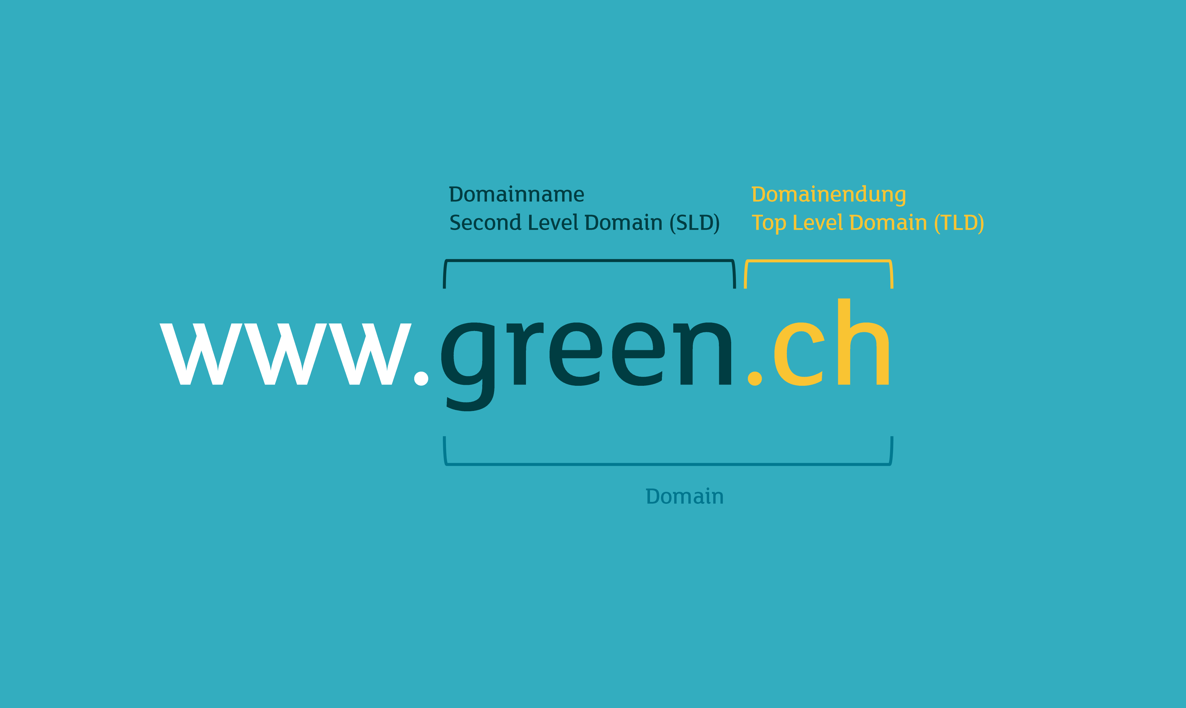 Domain name and domain extension as parts of a website address