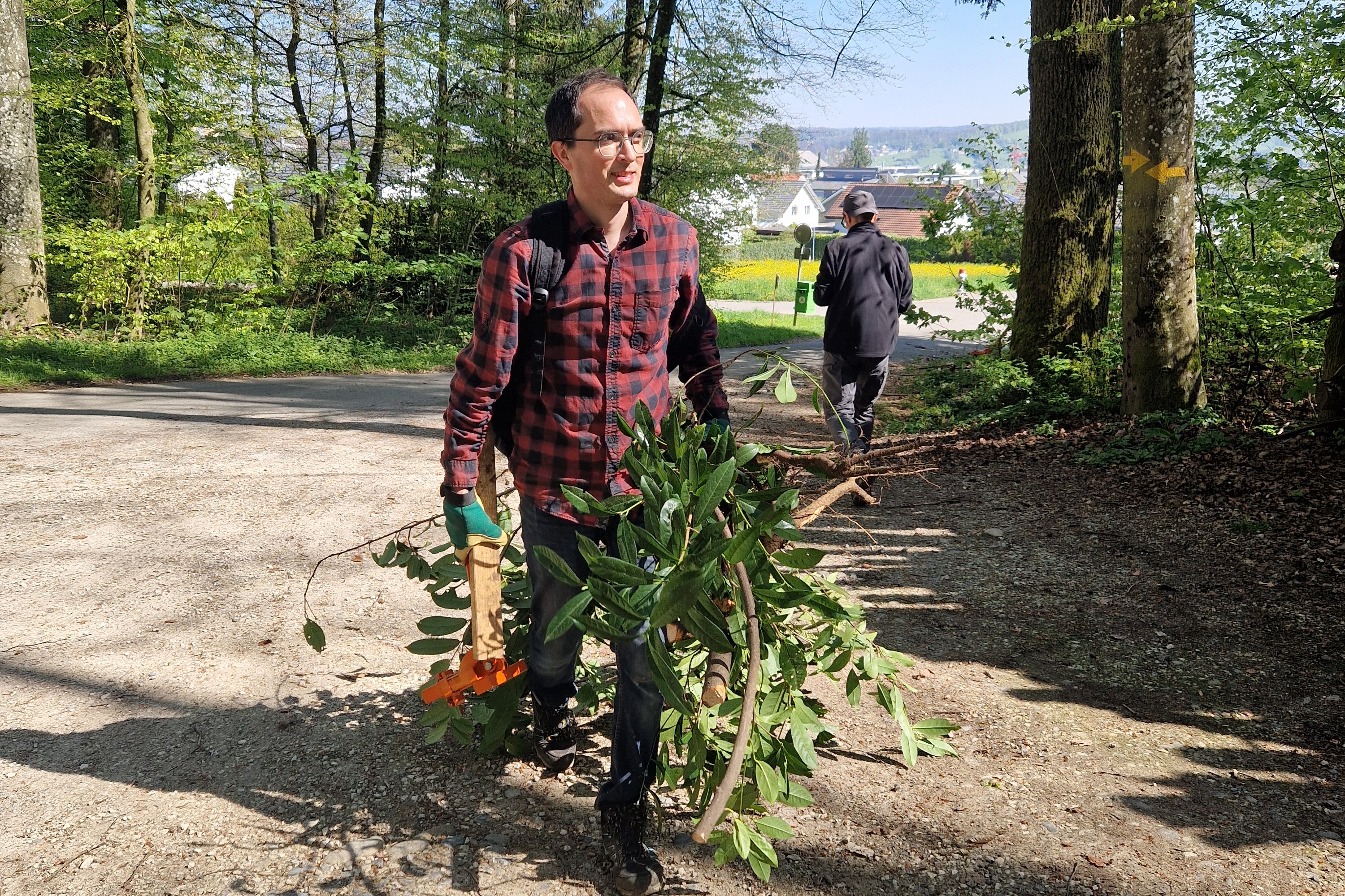 Mitarbeiter von Green an Waldarbeitstag