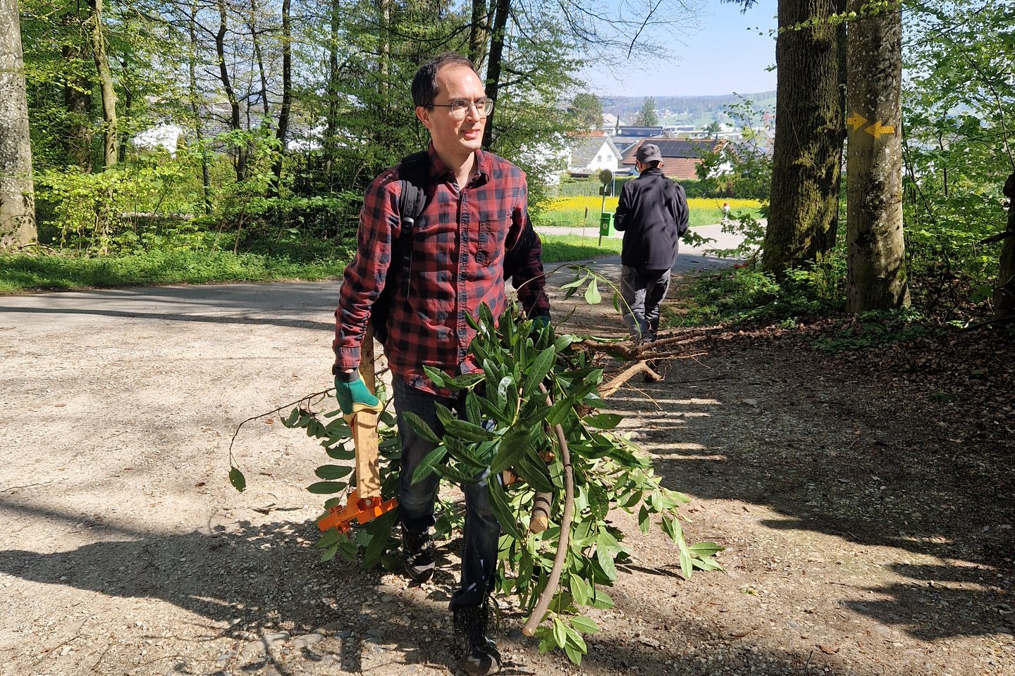 Employee of Green at the forest working day
