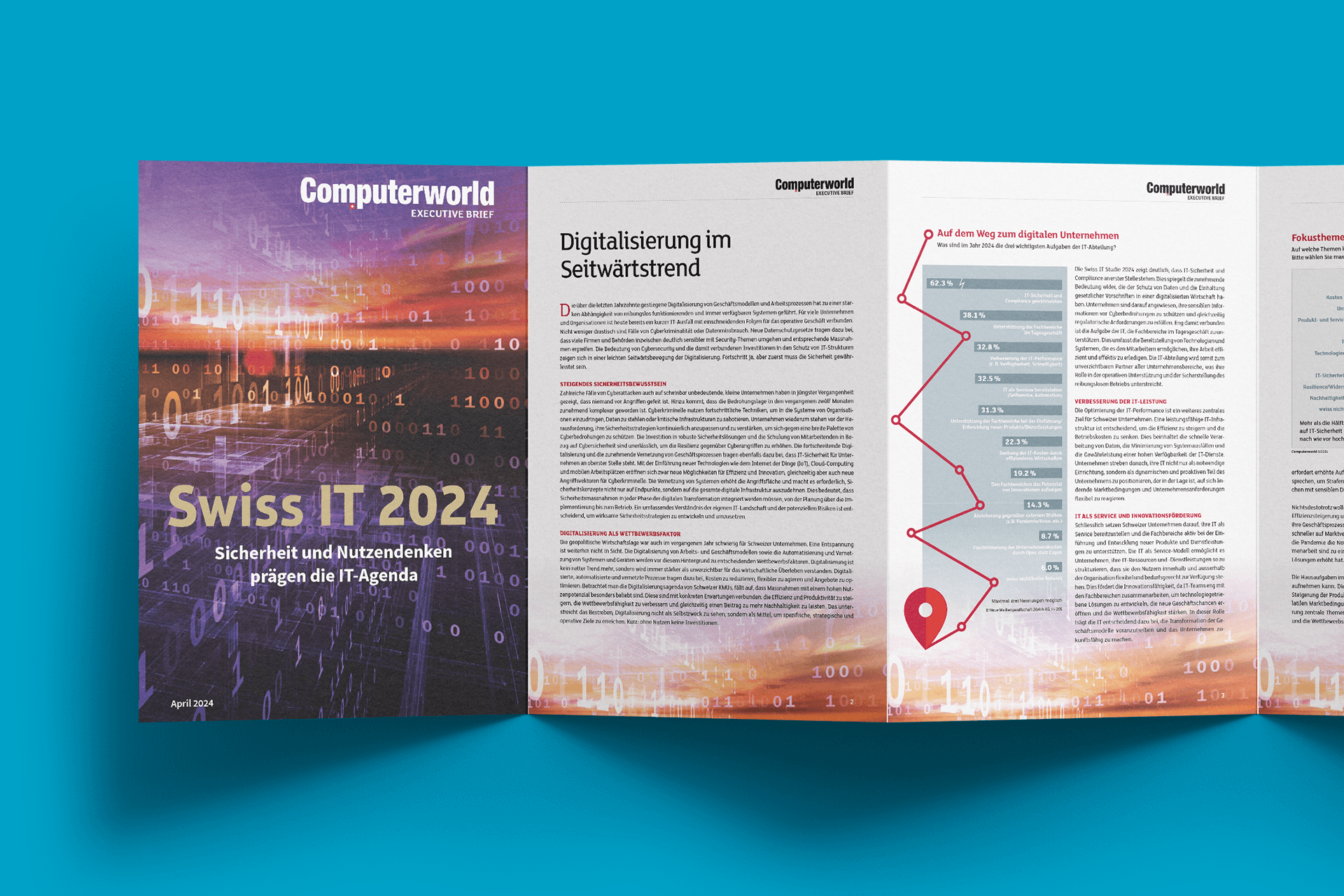 Grafik: Inhalt Swiss IT Studie 2024