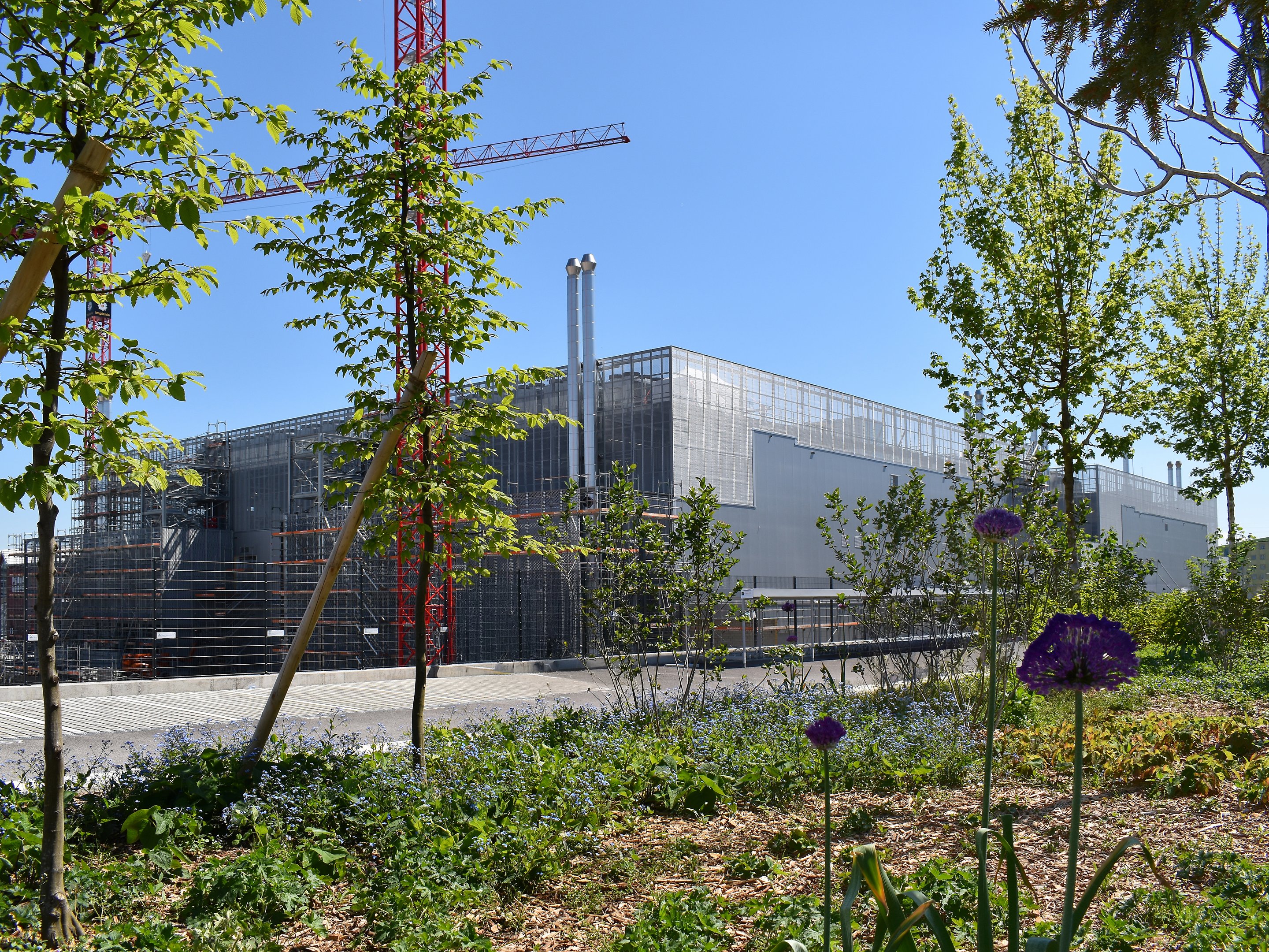 Datacenter M Metro Campus Zürich begrünt
