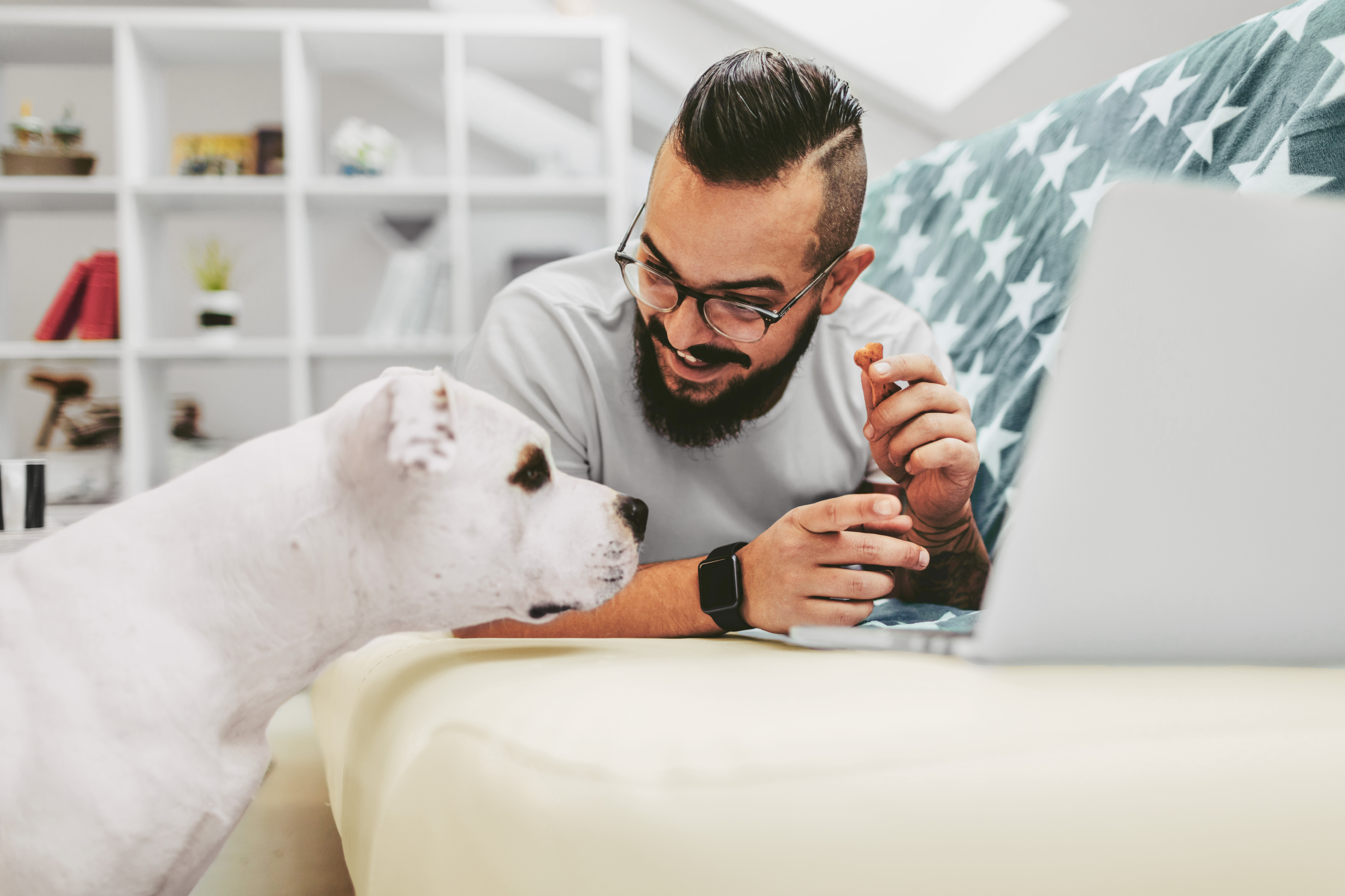 Image d’ambiance: un homme avec un chien surfe sur Internet